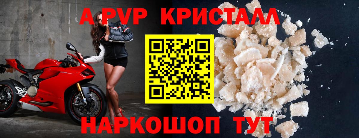 Alpha PVP СК Новочеркасск