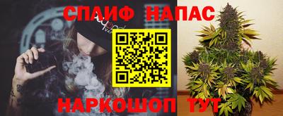 прущие грибы Каменск-Шахтинский