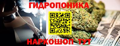 прущие грибы Каменск-Шахтинский