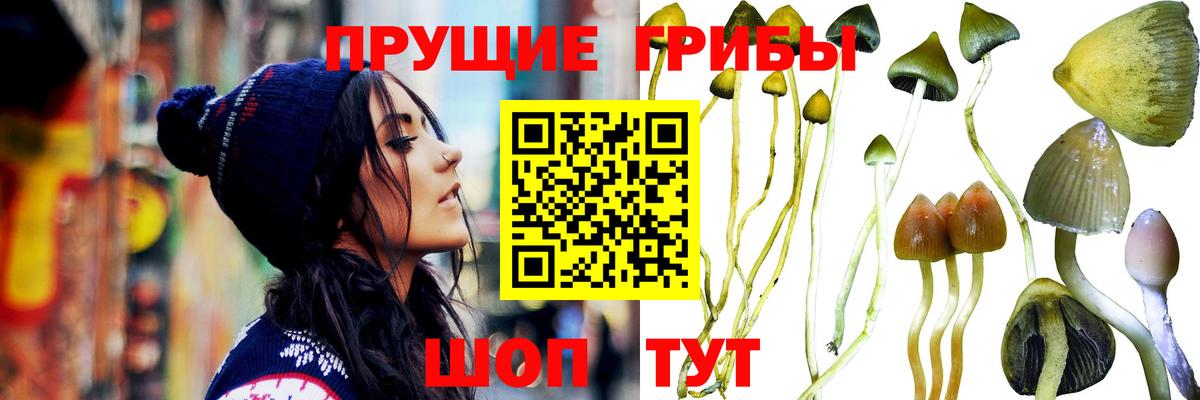 Галлюциногенные грибы прущие грибы Новочеркасск